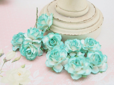 MH - Country Roses - Turquoise